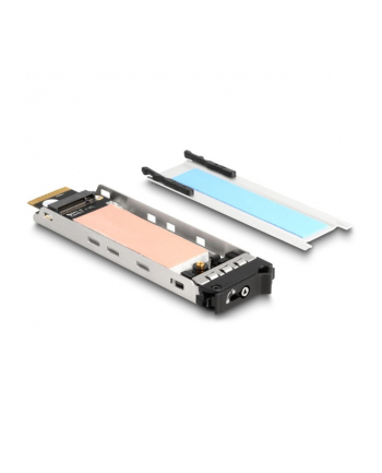 DeLOCK DeLock removable frame PCI Express card for 1 x M.2 NMVe SSD, interface card