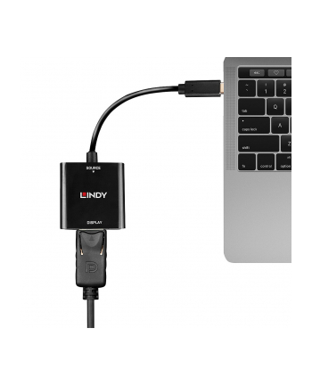 Lindy USB converter, USB-C male > DisplayPort female (Kolor: CZARNY, 21cm, 4K 144Hz)