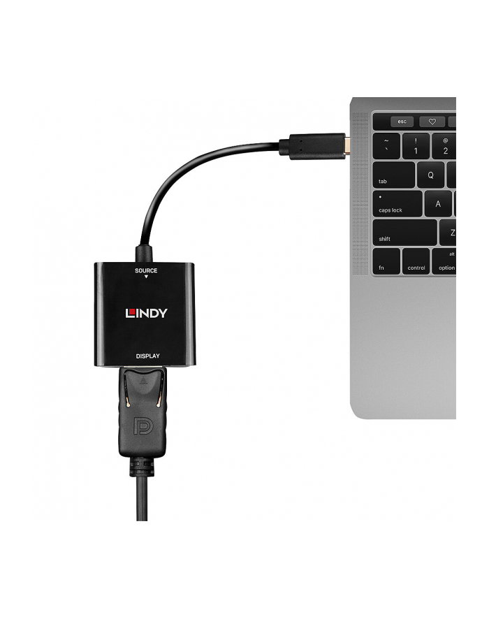 Lindy USB converter, USB-C male > DisplayPort female (Kolor: CZARNY, 21cm, 4K 144Hz) główny