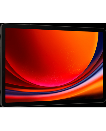 SAMSUNG Galaxy Tab S9 256GB, tablet PC (graphite, System Android 13, 5G)