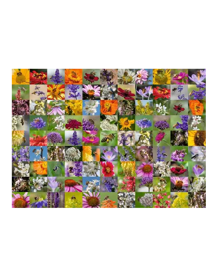 Ravensburger jigsaw puzzle 99 bees (1000 pieces) główny
