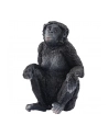 Schleich 14875 Samica szympansa karłowatego Wild life - nr 1