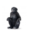 Schleich 14875 Samica szympansa karłowatego Wild life - nr 3