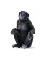 Schleich 14875 Samica szympansa karłowatego Wild life - nr 4