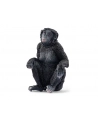 Schleich 14875 Samica szympansa karłowatego Wild life - nr 5