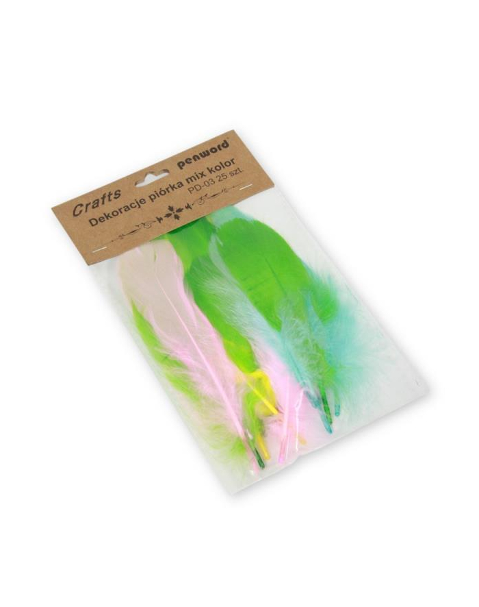 polsirhurt Dekoracje piórka PD-02 mix kolorów 10-15cm główny