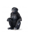 Schleich 14875 Samica szympansa karłowatego Wild life - nr 1