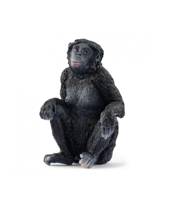 Schleich 14875 Samica szympansa karłowatego Wild life