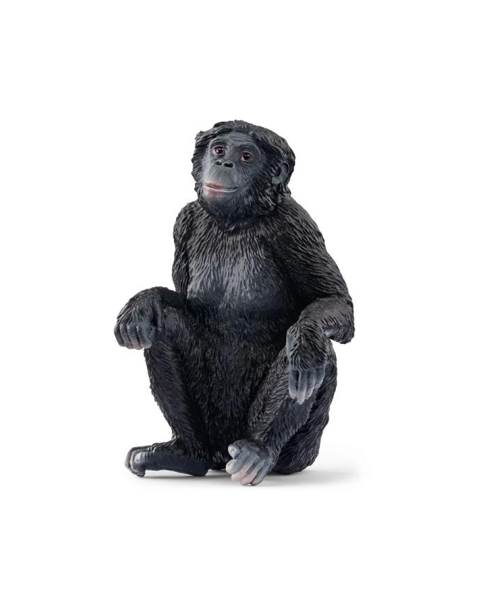 Schleich 14875 Samica szympansa karłowatego Wild life główny