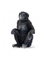 Schleich 14875 Samica szympansa karłowatego Wild life - nr 3