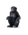 Schleich 14875 Samica szympansa karłowatego Wild life - nr 5