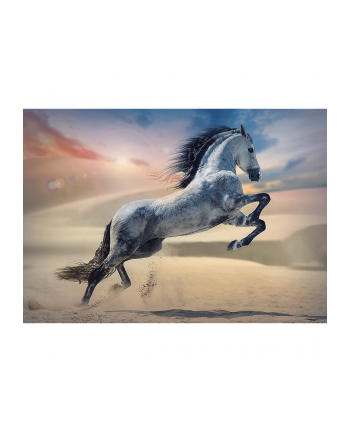 Puzzle 1000el Majestatyczne koń 10790 Trefl