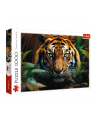 Puzzle 1000el Dziki Tygrys 10798 Trefl - nr 2