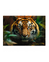Puzzle 1000el Dziki Tygrys 10798 Trefl - nr 3