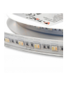 Taśma LED V-TAC SMD5050 60LED 24V RGB+CCT 5w1 IP65 VT-5050 60 1630lm - nr 12