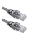 Kabel Patchcord Qoltec UTP | CAT5e | 2 x RJ-45 | 2m - nr 1