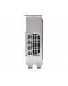 pny technologies PNY NVIDIA 2000 Ada 16GB LowProfile, PCIe 40 x16, Dual Slot, 4x Mini DP 14a, 16 GB GDDR6 ECC 128-bit, HDCP 22, HDMI 20, LP - ATX bracket, 1x mDP to DP adapter, retial - nr 10