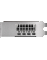 pny technologies PNY NVIDIA 2000 Ada 16GB LowProfile, PCIe 40 x16, Dual Slot, 4x Mini DP 14a, 16 GB GDDR6 ECC 128-bit, HDCP 22, HDMI 20, small box - nr 8