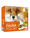 Memory Fauna Polski gra pamięciowa ADAMIGO - nr 1