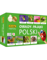 Memory Owady i pająki Polski gra pamięciowa ADAMIGO - nr 1