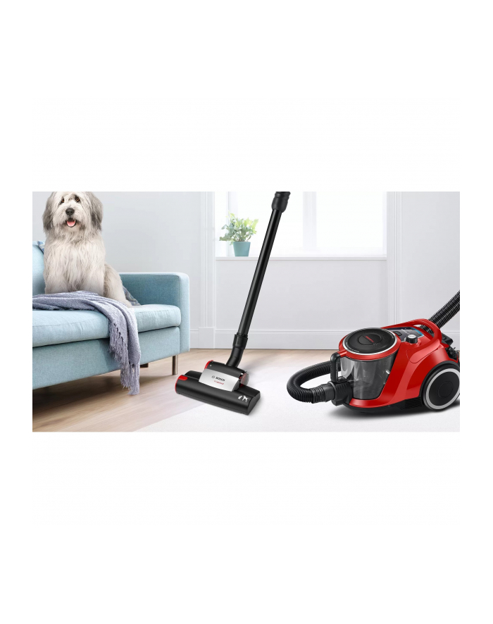 Bosch Series 6 ProAnimal BGC41PET, canister vacuum cleaner (red/Kolor: CZARNY) główny