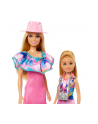 Mattel Barbie Family ' Friends Stacie ' Barbie 2-Pack Doll - nr 10