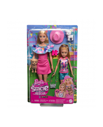 Mattel Barbie Family ' Friends Stacie ' Barbie 2-Pack Doll
