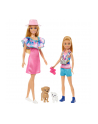 Mattel Barbie Family ' Friends Stacie ' Barbie 2-Pack Doll - nr 1