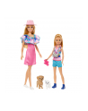Mattel Barbie Family ' Friends Stacie ' Barbie 2-Pack Doll - nr 9