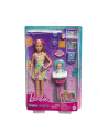 Mattel Barbie Family ' Friends New Skipper Babysitters Inc. Playset Doll - nr 6