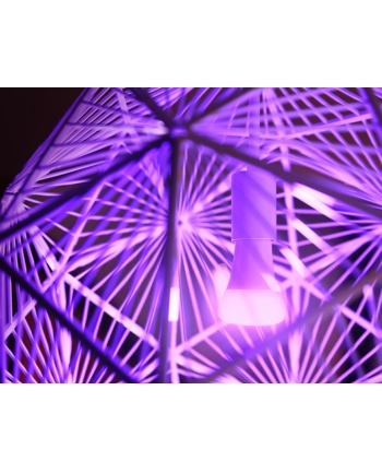 PHILIPS HUE White and color ambiance Zestaw startowy 2 szt. E27 1100lm (929002468810)