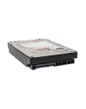 western digital Dysk twardy Red Plus 8TB 3,5 cala CMR 256MB/5640RPM Class - nr 14