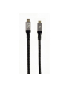 gembird Kabel Premium USB-C Type 4 40 Gbps 240W 1.5M - nr 1