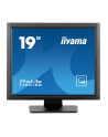 iiyama Monitor 19 cali T1931SR-B1S RESIS.IP54,HDMI,DP,VGA,2x1W,5:4 - nr 16