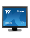 iiyama Monitor 19 cali T1931SR-B1S RESIS.IP54,HDMI,DP,VGA,2x1W,5:4 - nr 35