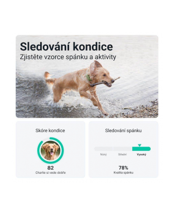 Lokalizator GPS Dla Psów Tractive Tracker XL Zielony nr 1