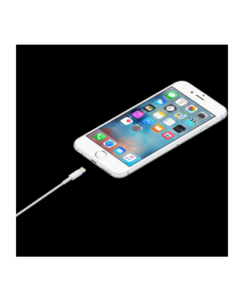 apple Przewód ze złącza Lightning na USB (1 m)