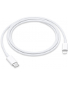 apple Kabel USB-C do LIGHTNING  1 m - nr 24