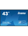 iiyama Monitor 42.5 cala ProLite LE4341S-B2 IPS,FHD,18/7,LAN,HDMI - nr 1