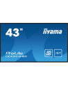 iiyama Monitor 42.5 cala ProLite LE4341S-B2 IPS,FHD,18/7,LAN,HDMI - nr 30