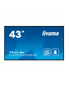 iiyama Monitor 42.5 cala ProLite LE4341S-B2 IPS,FHD,18/7,LAN,HDMI - nr 70