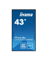 iiyama Monitor ProLite LH4341UHS-B2 42.5 cala 24/7,500cd,4K,IPS,3xHDMI - nr 14