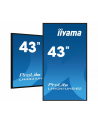 iiyama Monitor ProLite LH4341UHS-B2 42.5 cala 24/7,500cd,4K,IPS,3xHDMI - nr 1