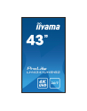 iiyama Monitor ProLite LH4341UHS-B2 42.5 cala 24/7,500cd,4K,IPS,3xHDMI - nr 32