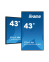 iiyama Monitor ProLite LH4341UHS-B2 42.5 cala 24/7,500cd,4K,IPS,3xHDMI - nr 40