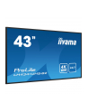 iiyama Monitor ProLite LH4341UHS-B2 42.5 cala 24/7,500cd,4K,IPS,3xHDMI - nr 57