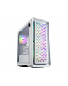 Fsp/Fortron Cut593P White (POC0000205) - nr 8