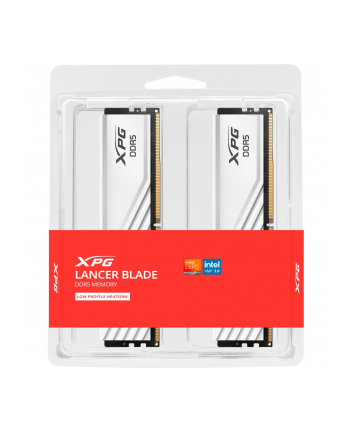 ADATA DDR5 - 32GB - 5600 - CL - 46 (2x 16 GB) dual kit, RAM (Kolor: BIAŁY, AX5U5600C4616G-DTLABWH, XPG Lancer Blade, INTEL XMP, AMD EXPO)