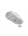 Genesis Zircon 500 biała (NMG2114) - nr 11