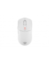 Genesis Zircon 500 biała (NMG2114) - nr 16